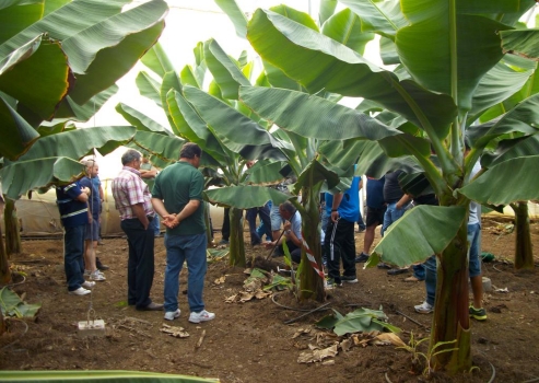 Plan Formación Agraria