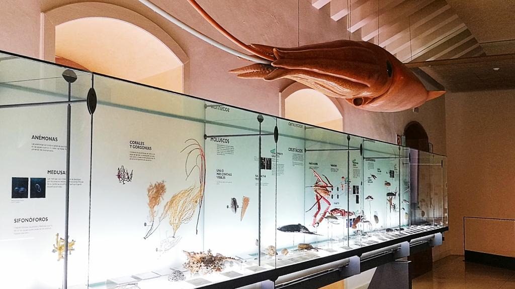 VISITA VIRTUAL AL MUNA: BIOLOGIA MARINA