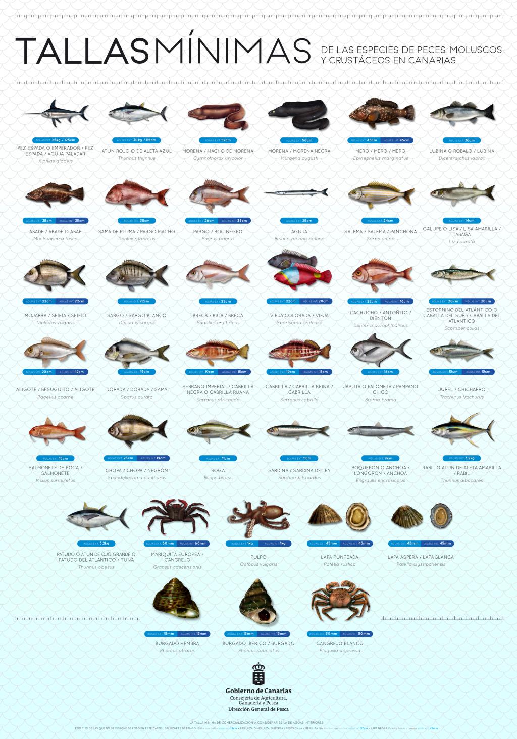 PESCA SEGURA Y SOSTENIBLE