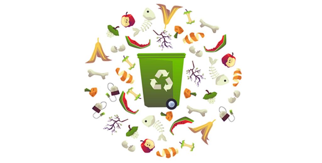 DESPERDICIO ALIMENTARIO: ¡Piensa antes de tirar, cada bocado cuenta!