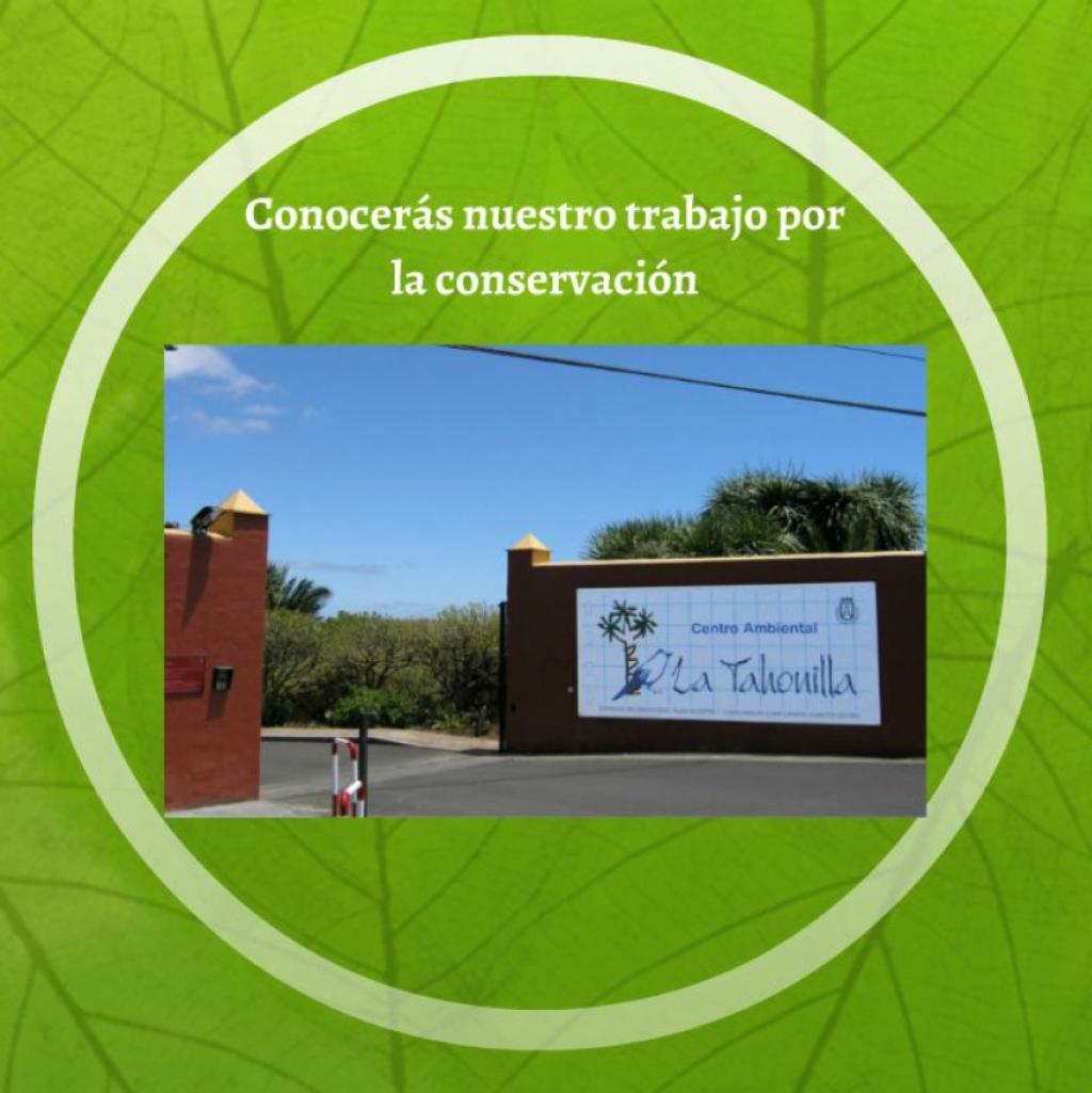 Programa La Tahonilla