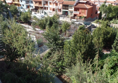 Jardín de flora autóctona Juan Acosta - Parque Nacional del Teide