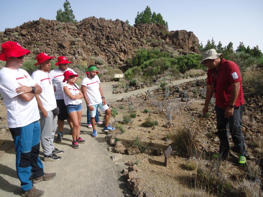 Jardín Botánico Wolfredo Wildpret - Parque Nacional del Teide